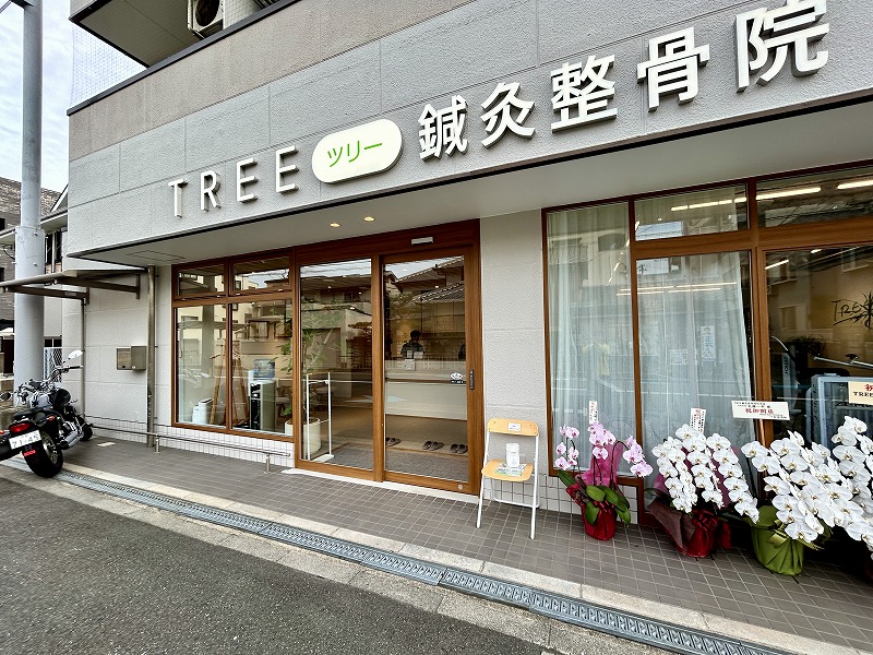 アイワホーム旧本社跡の「TREE（ツリー）鍼灸整骨院吹田店」からのお得情報！！