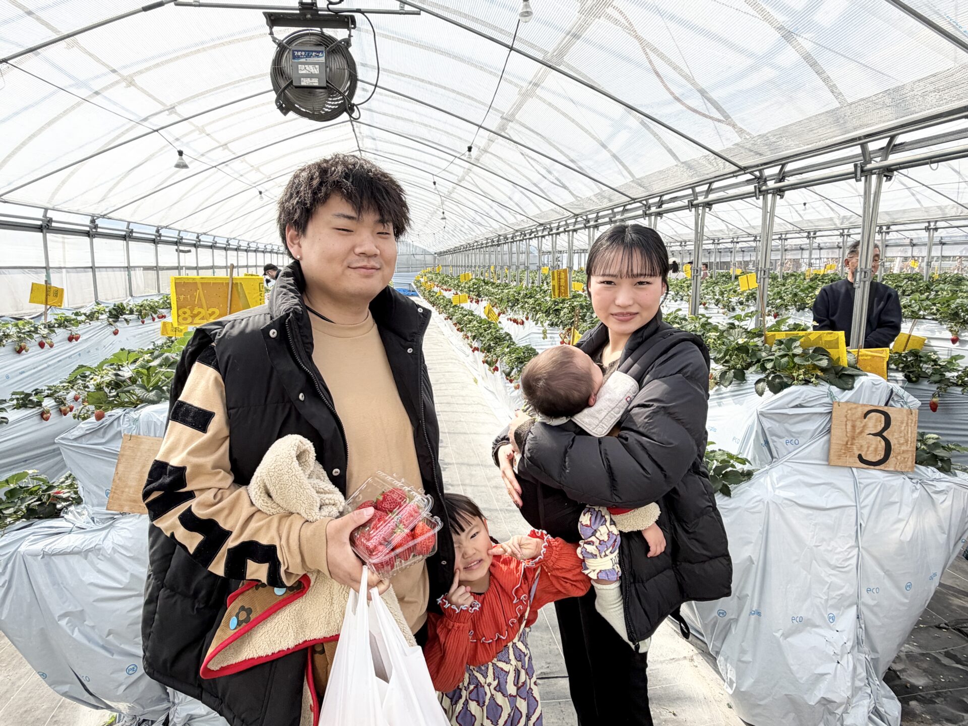 いちご狩りの様子3