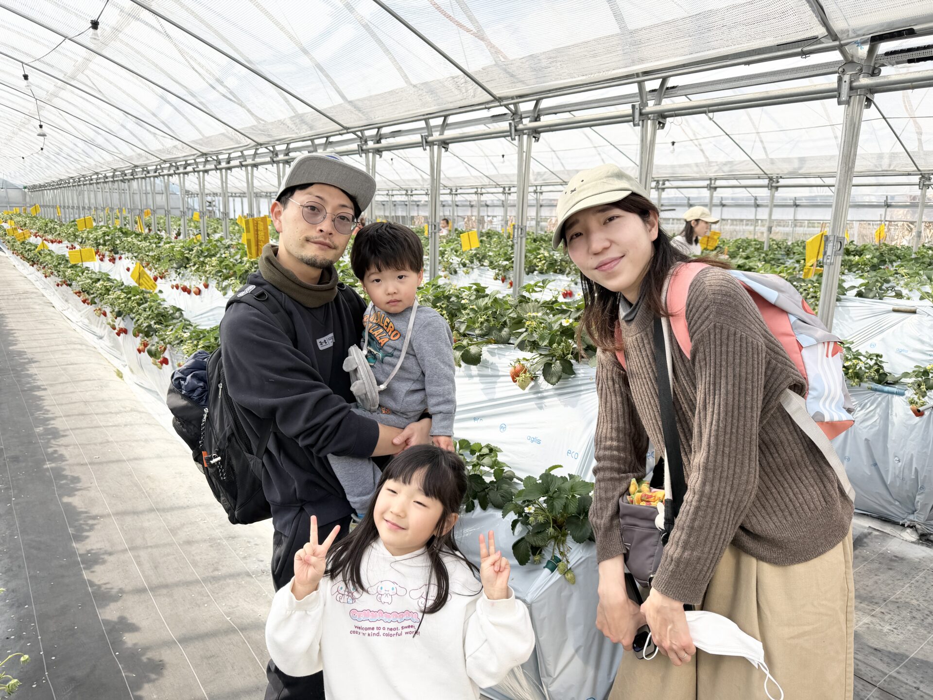 いちご狩りの様子4